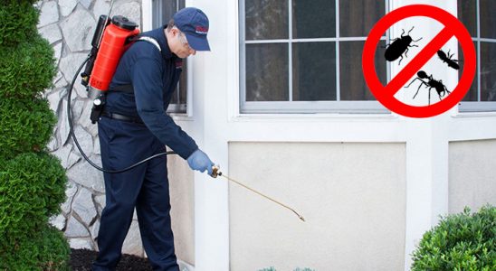 Kilimli Fare İlaçlama böcek ilaçlama ve haşere kontrolü — ilaclama-tr.com